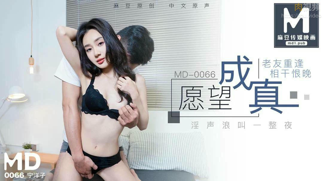 願望成真 寧洋子