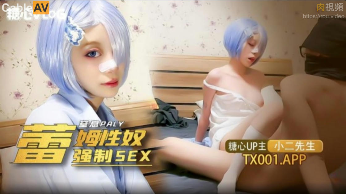 我的小奴隸 coser雷姆蘿莉被強制sex 小二先生